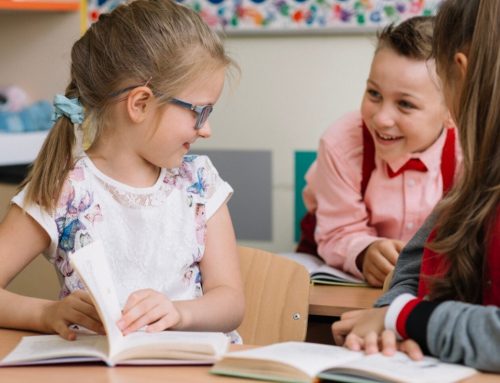 Différences entre FLE et français langue maternelle (FLM)