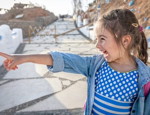 Quels sont les défis des enfants francophones à l’étranger?
